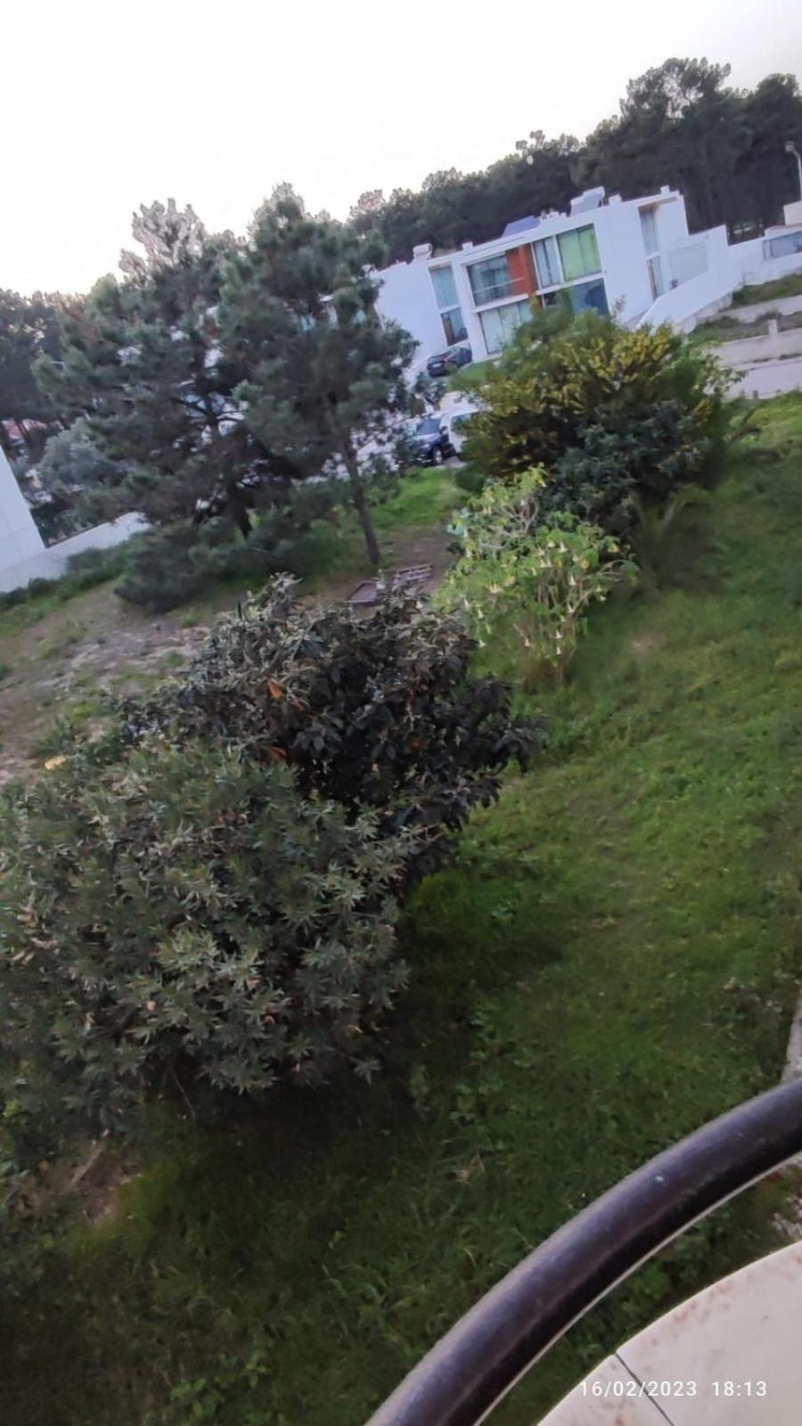 Beach, Surf And Golf Apartment Near Lisbon Aroeira  ภายนอก รูปภาพ